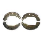 لنت عقب پژو405 کفشکی زرکوب