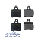 لنت عقب زانتیا سانسیز